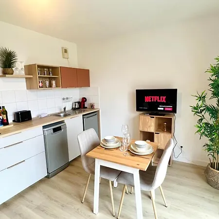 Le Courvoisy, Avec Piscine, Pres Groupama Stadium Et Salle Arena Appartement